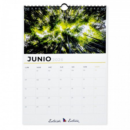 Calendarios de pared