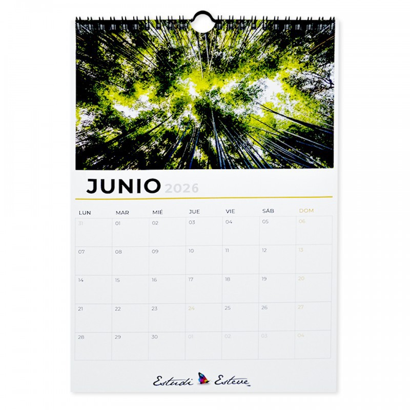Calendarios de pared