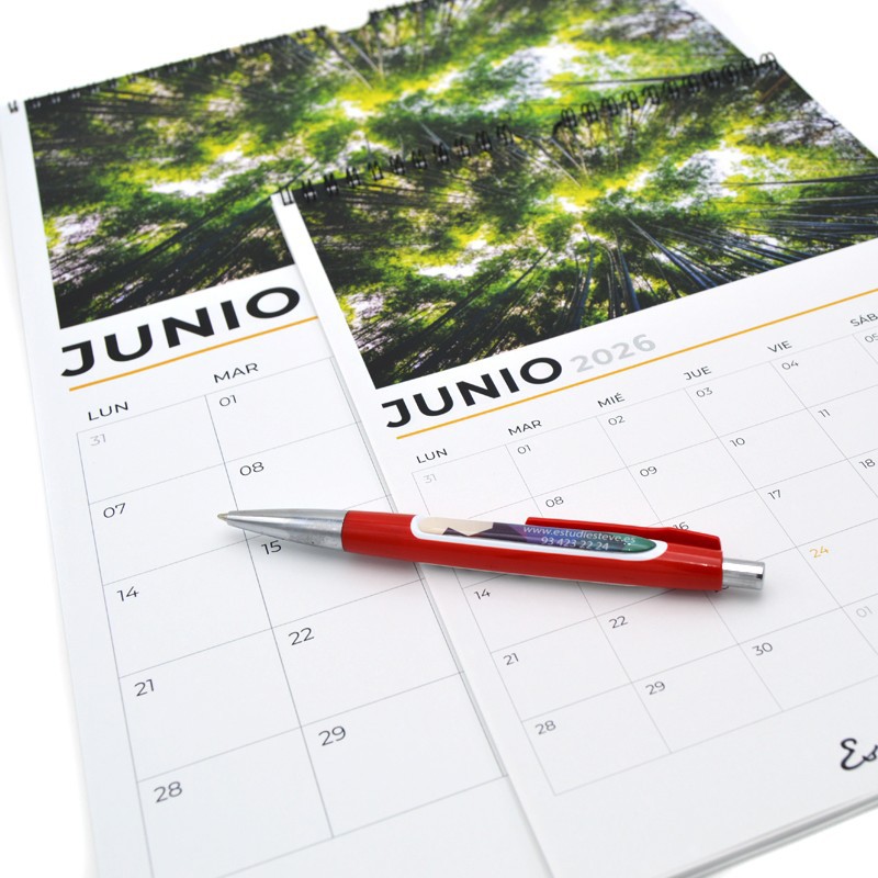 Calendarios de pared