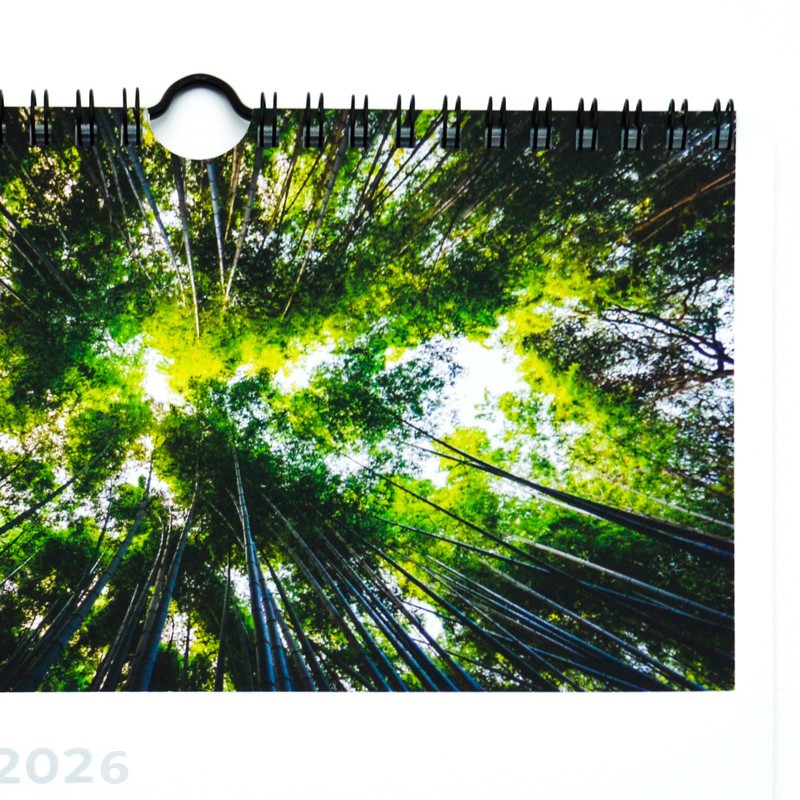 Calendarios de pared